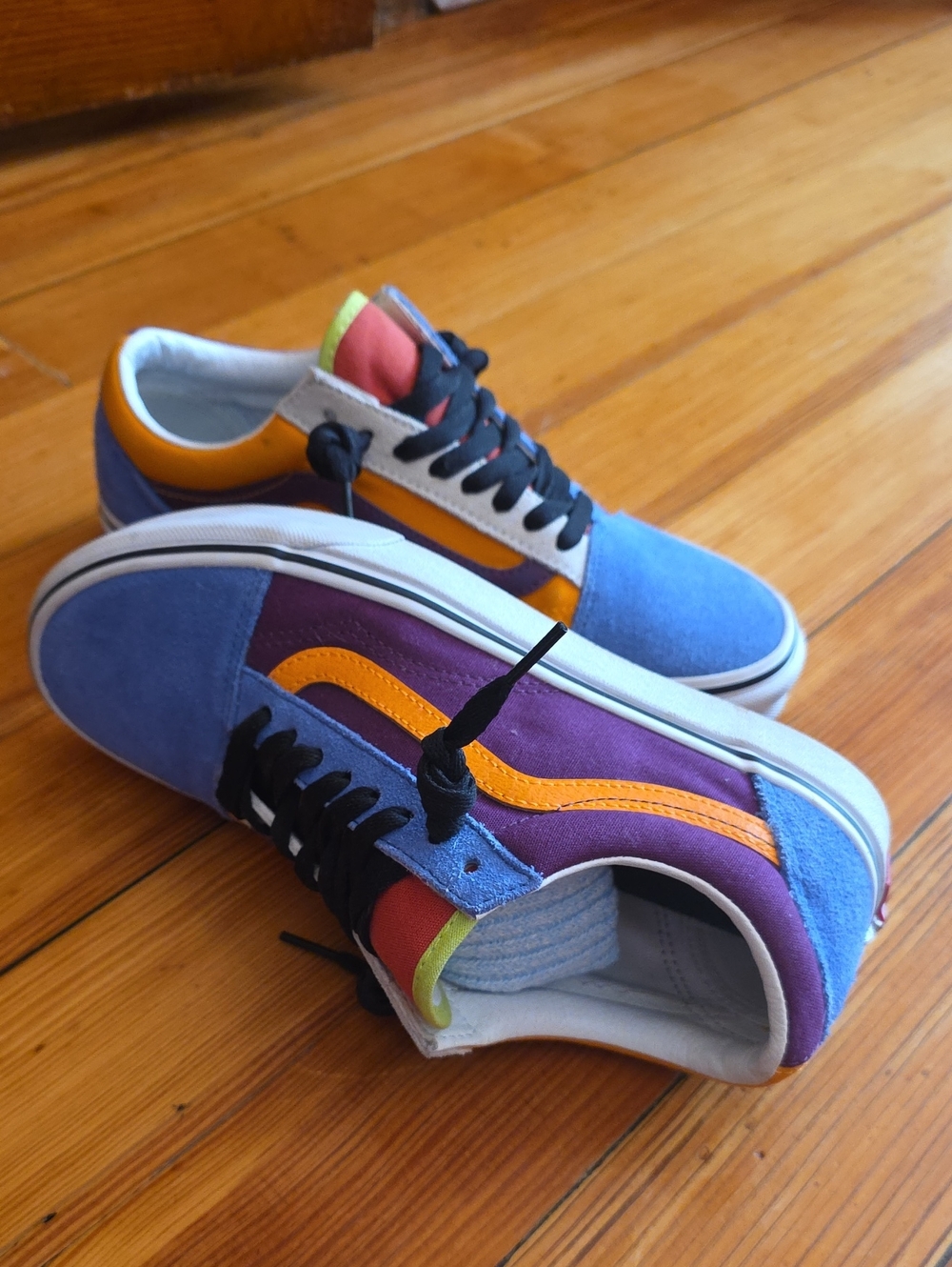 Vans Colorblock Skate Sneakers